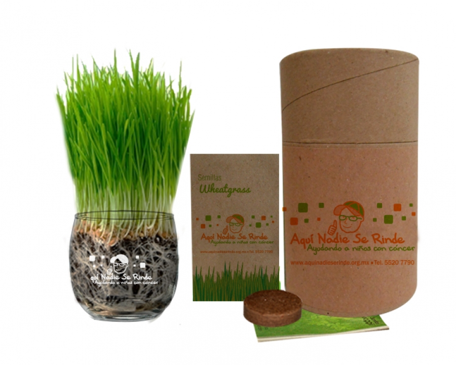 SEMIKIT®Kit Cultivo Wheatgrass - NAT1006