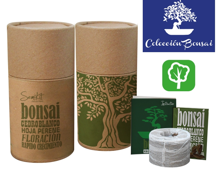 Papel Semilla: Hacemos papel para sembrar árboles.