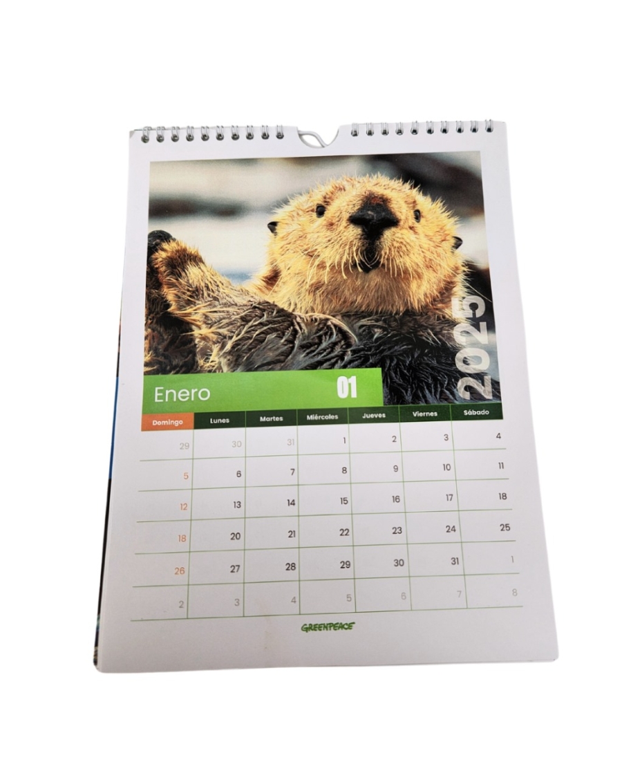 Calendario de Pared Carta