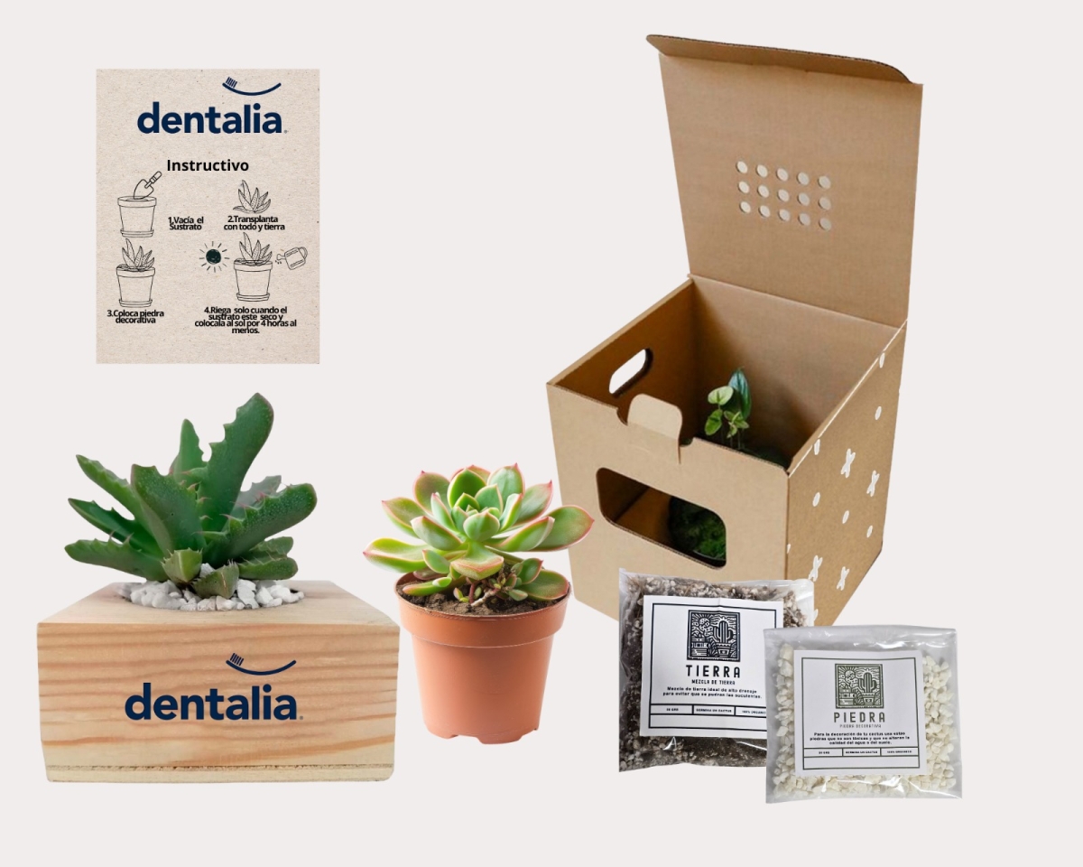 Kit Maceta Viva Wood