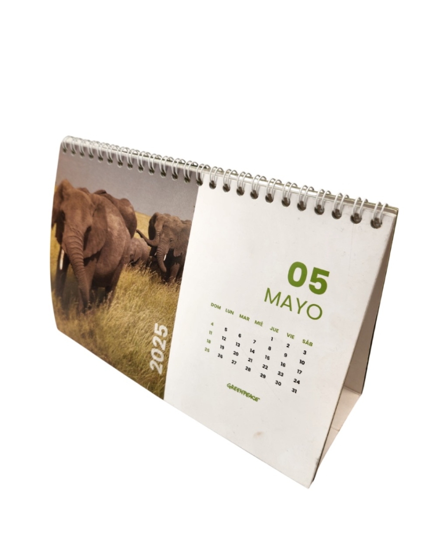Calendario Caballero Media Carta