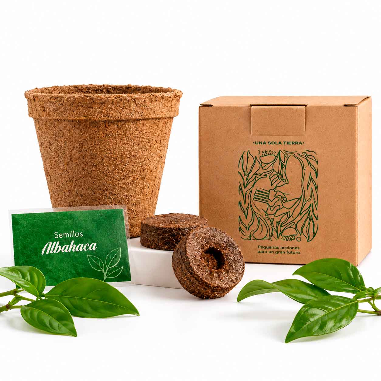 Kit Biopot Redonda-NAT1014