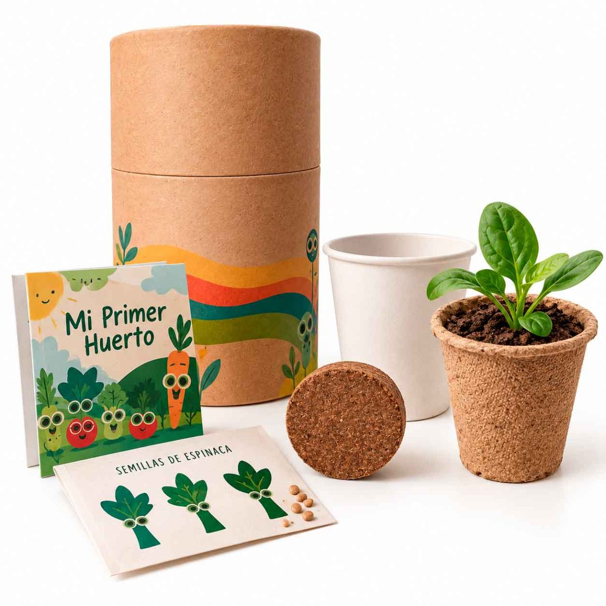 Grupo Green Market | Cactus / Suculentas 1-NAT1030