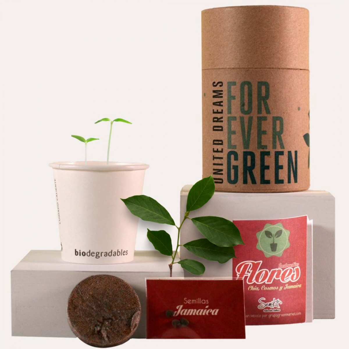 Grupo Green Market | Kit Cultivo-NAT1005