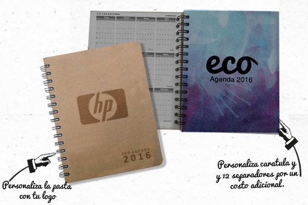 Agenda Ecológica, RECICLA