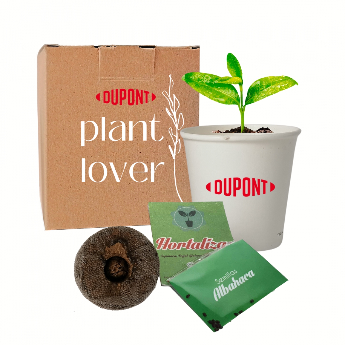 Grupo Green Market | Semikit®Kit Cultivo Box NAT1004