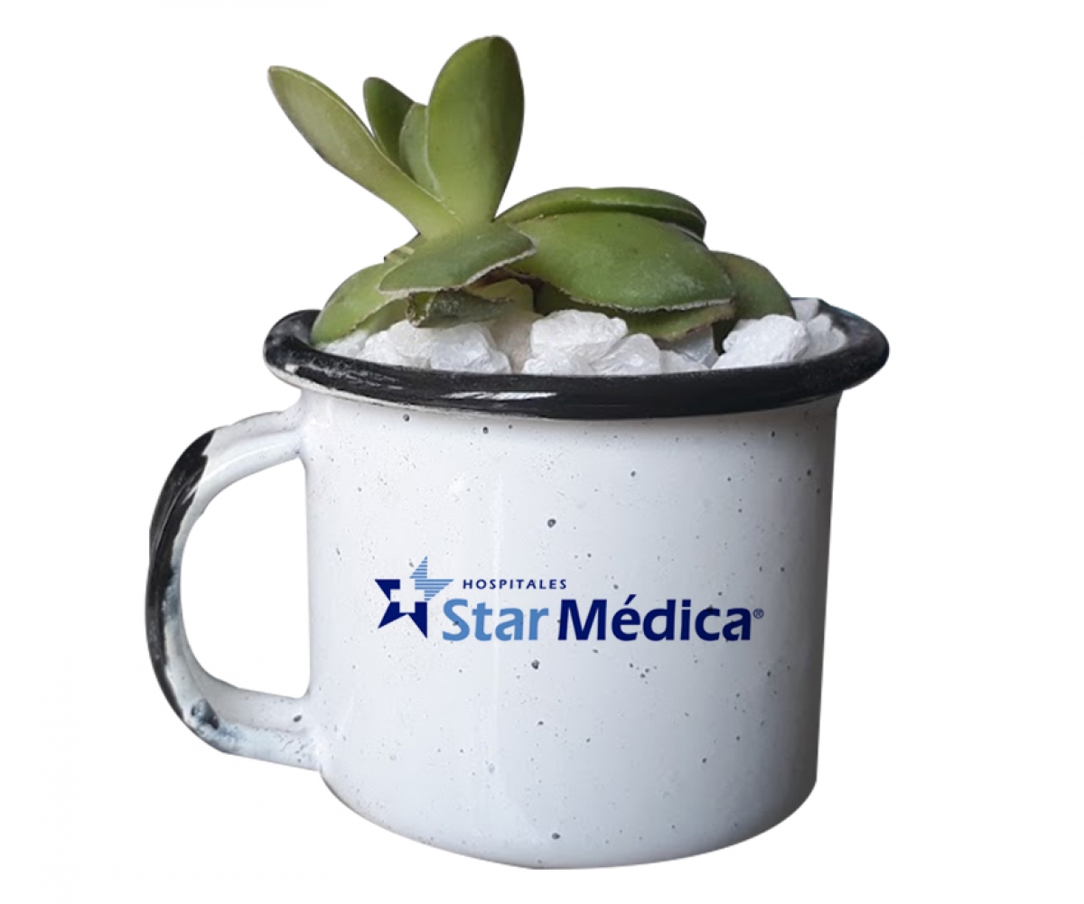 Grupo Green Market | Minipot Viva Peltre – NAT1063 Grupo Green Market | Minipot Viva Peltre – NAT1063