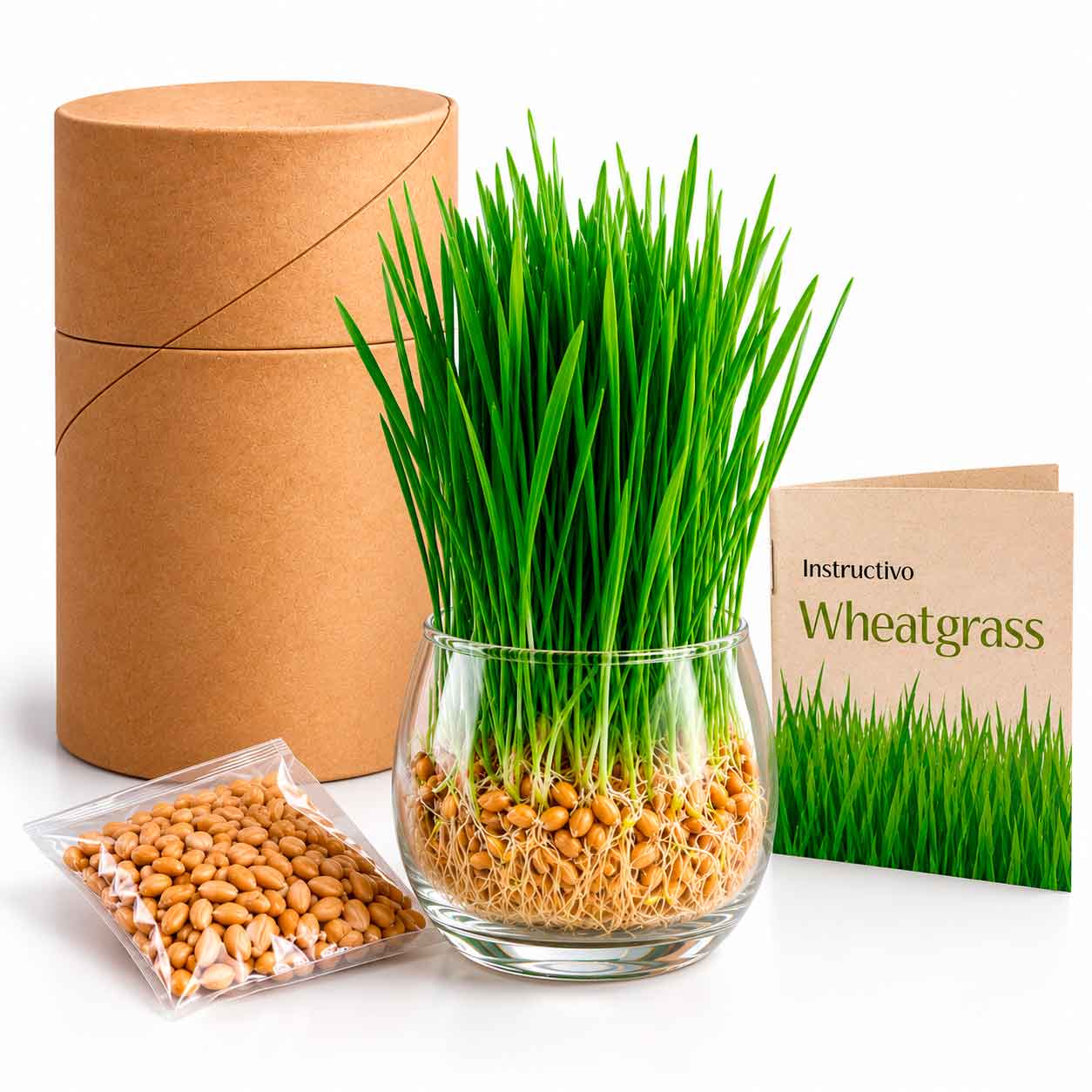 Semikit®Kit Cultivo Wheatgrass
