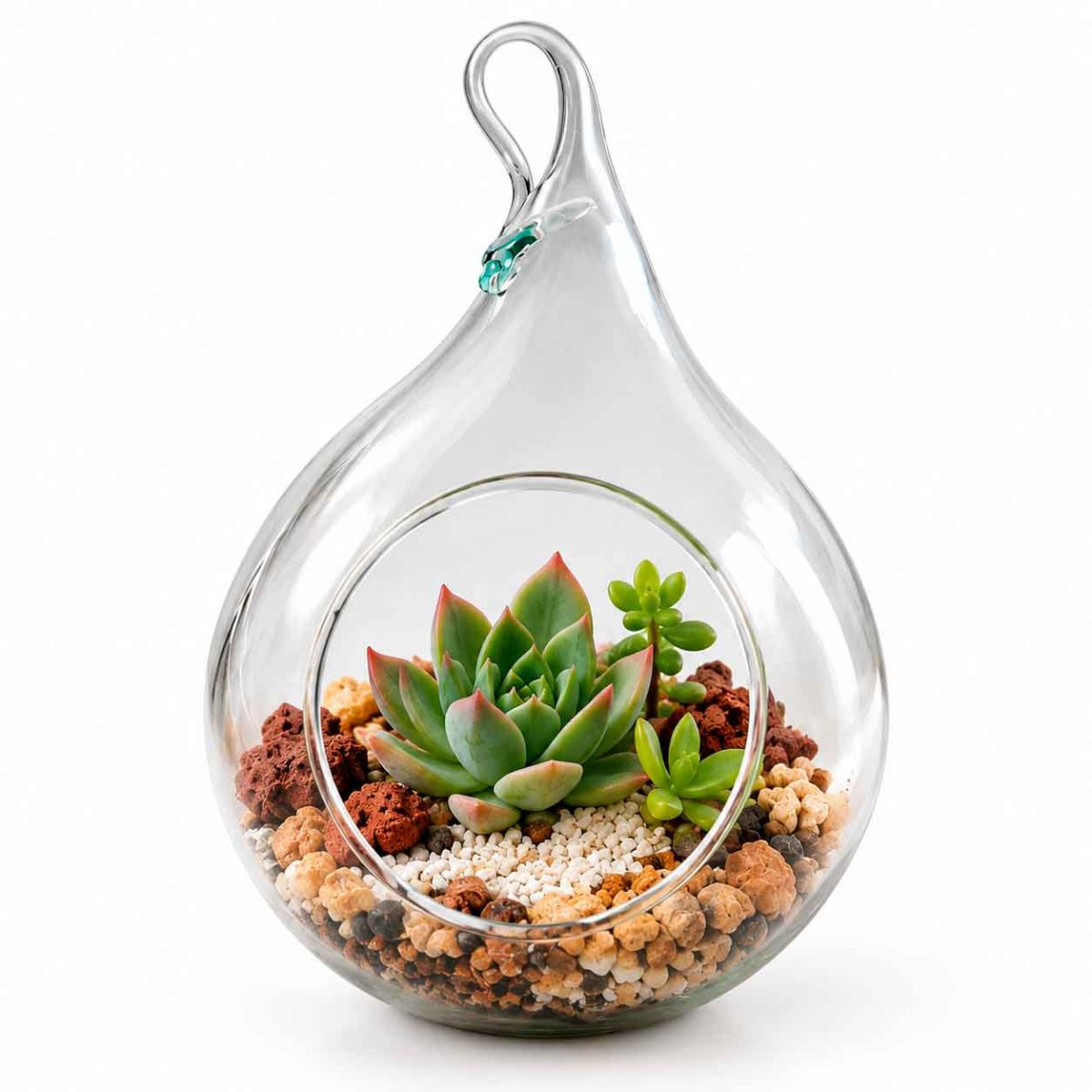 Grupo Green Market | Semikit® Bomb Reforesta