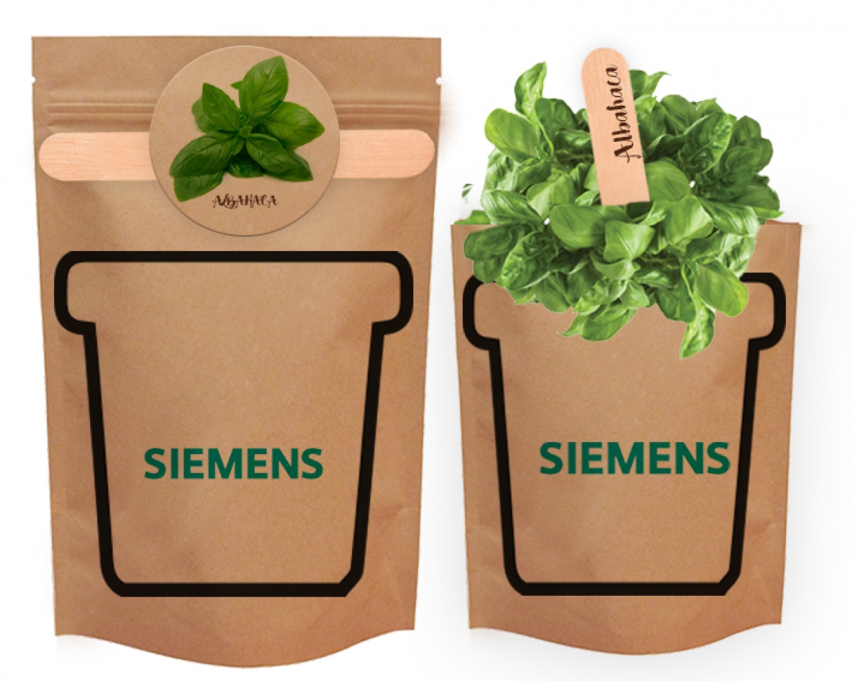 Grupo Green Market | Pocket Plant – NAT1054