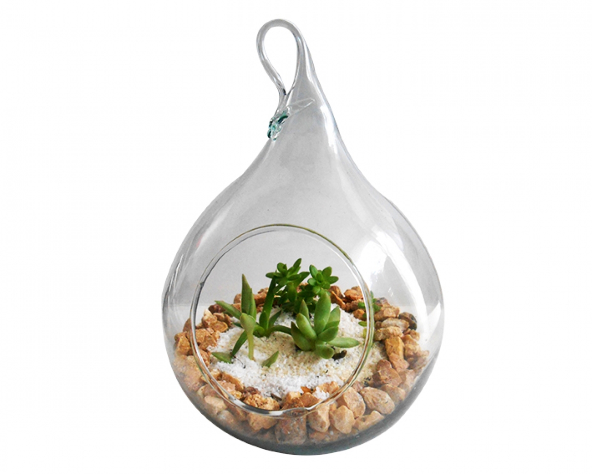 Grupo Green Market | Terrario Gota – NAT1034