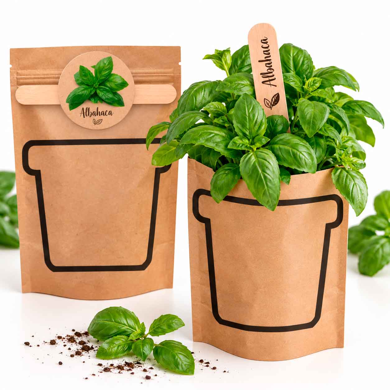 Pocket Plant - NAT1054