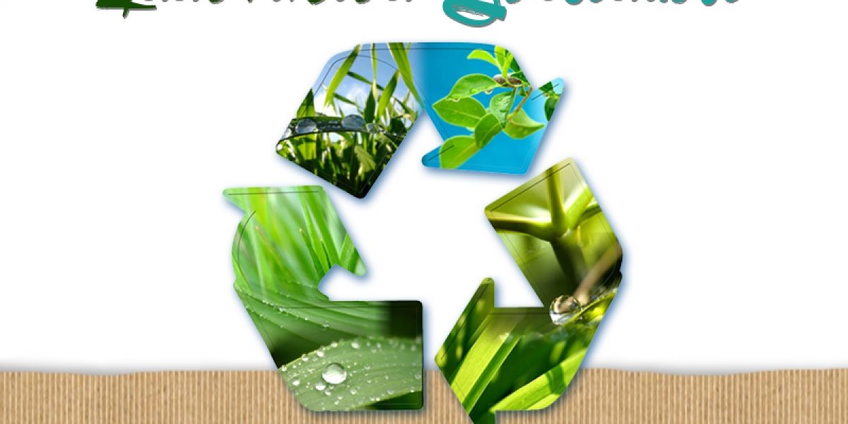 Grupo Green Market | EGADE Business School