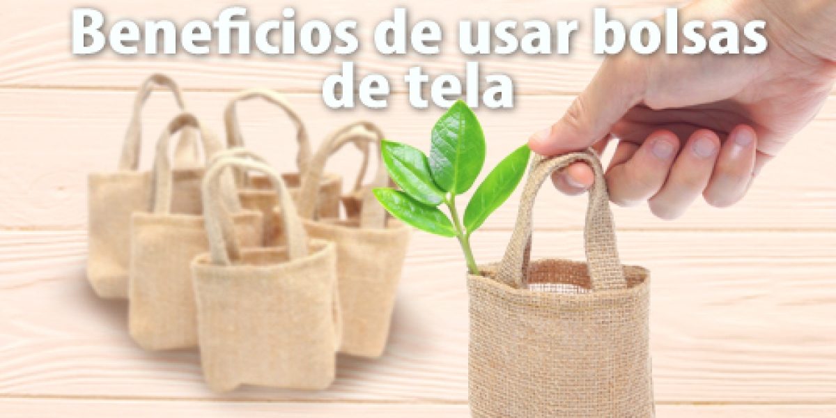 Grupo Green Market | Los Beneficios de Usar Bolsas de Tela