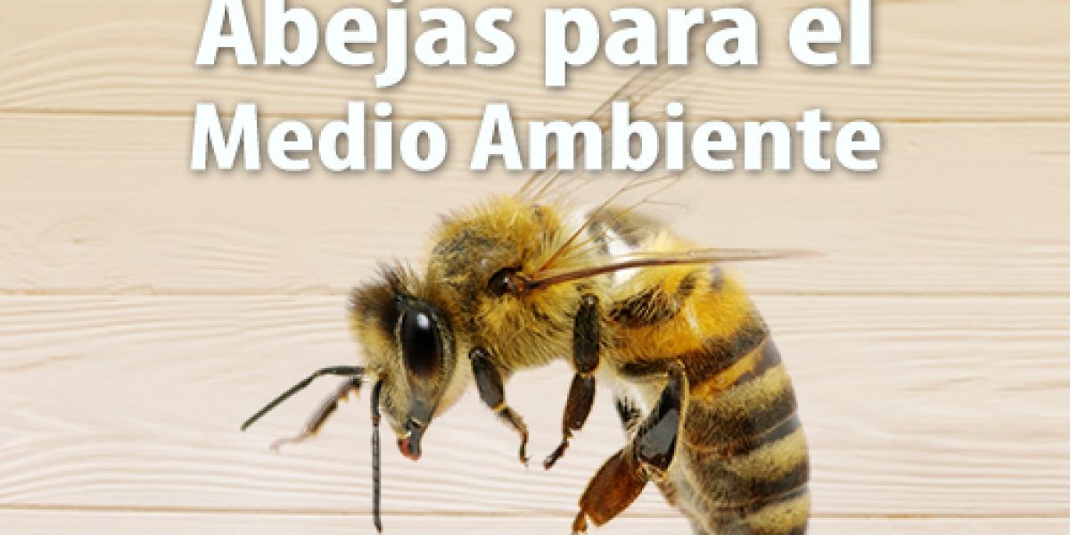 Grupo Green Market | La Importancia de las Abejas para el Medio Ambiente
