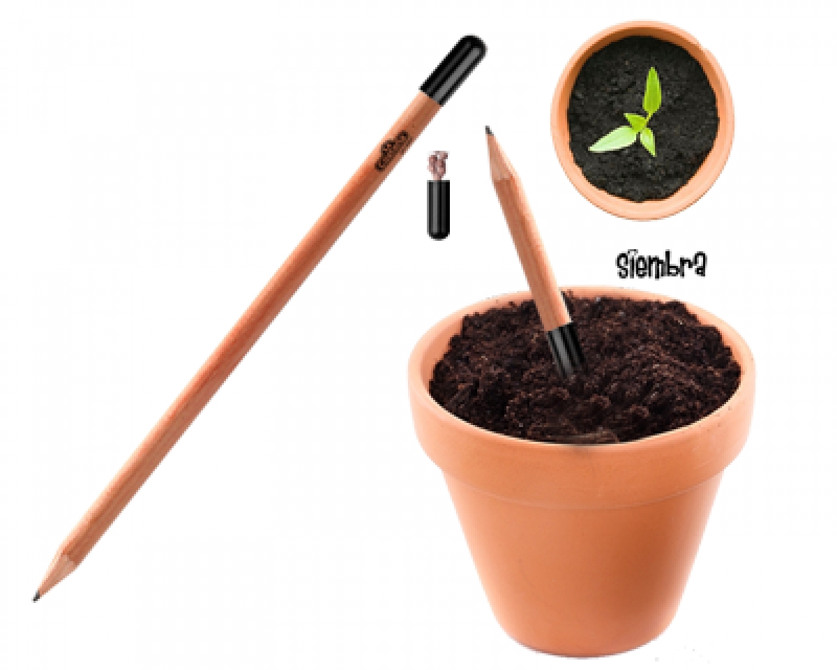 Grupo Green Market | BOLIGRAFO DE BAMBU PLANTABLE