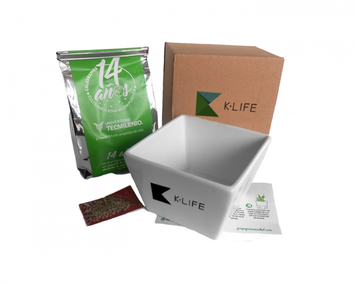 Grupo Green Market | Maceta Minimalista Box Carton NAT1044