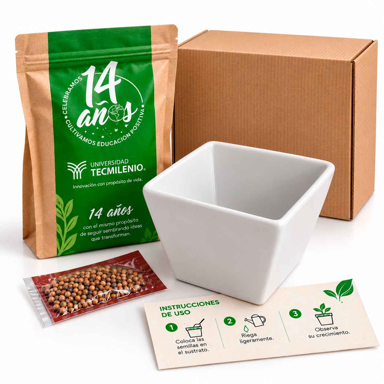 Maceta Minimalista Box Carton NAT1044