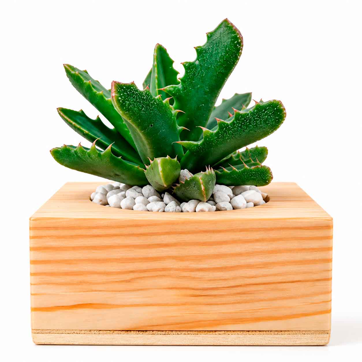 Maceta Viva Wood NAT1058