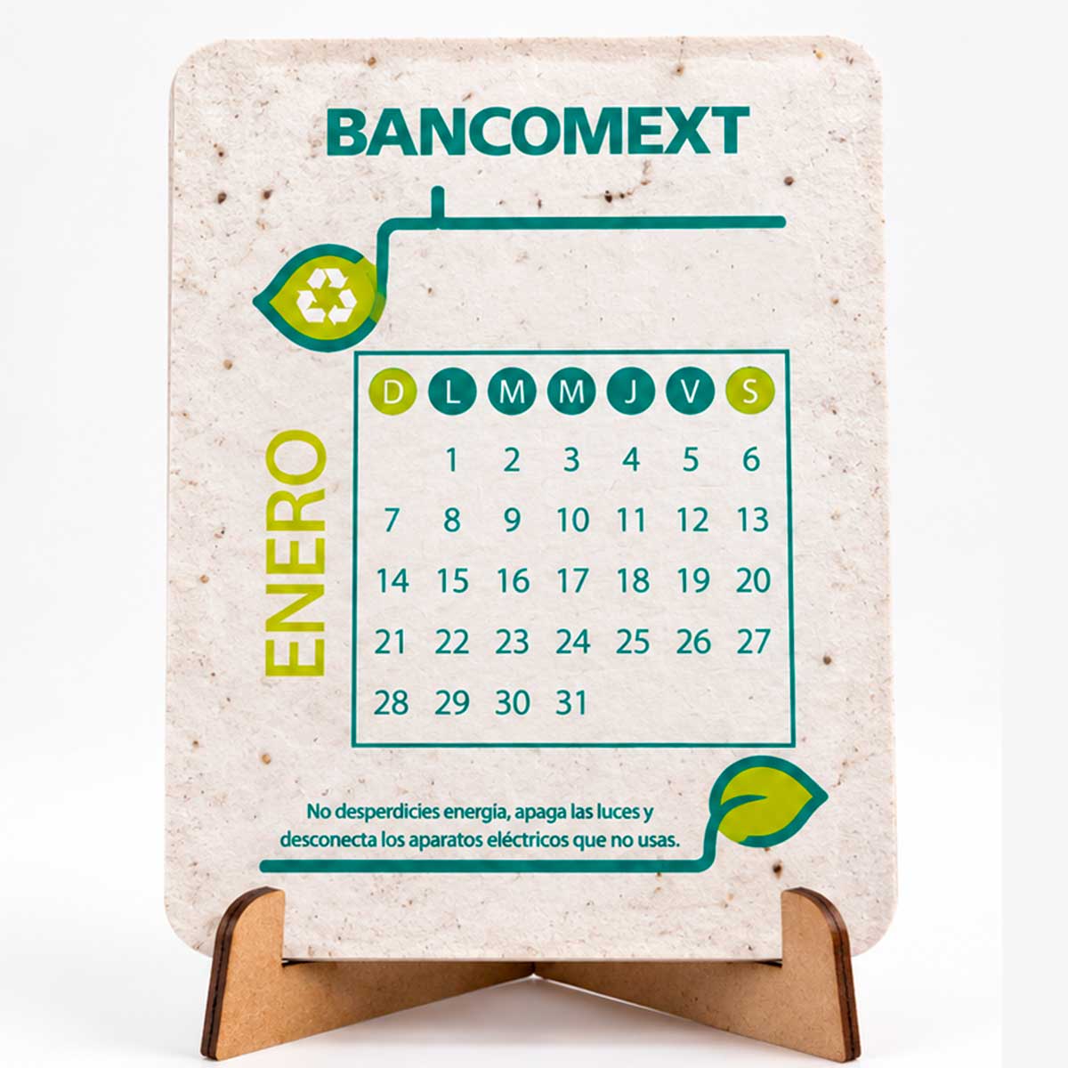 Calendario Semilla