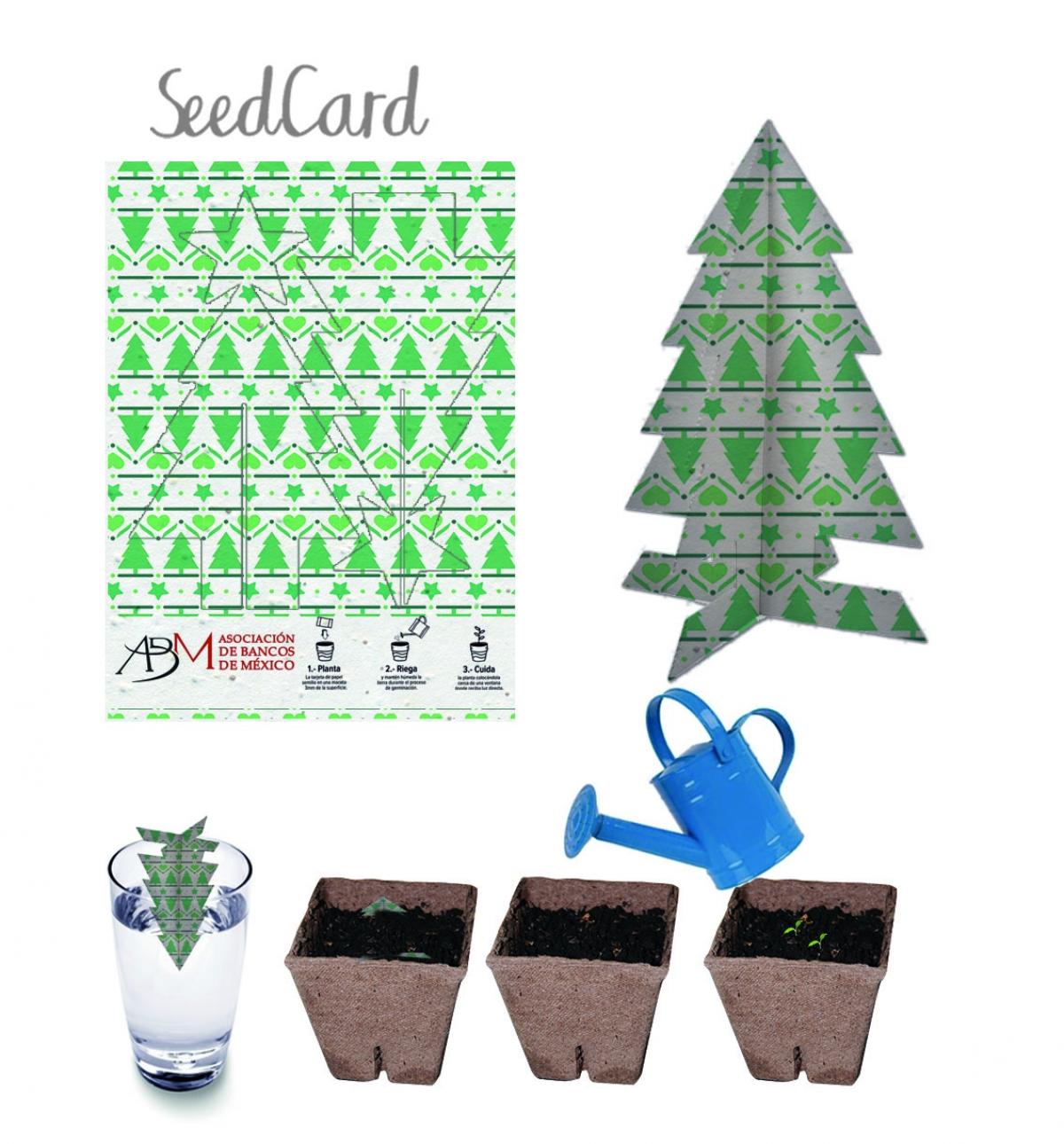 Seedcard