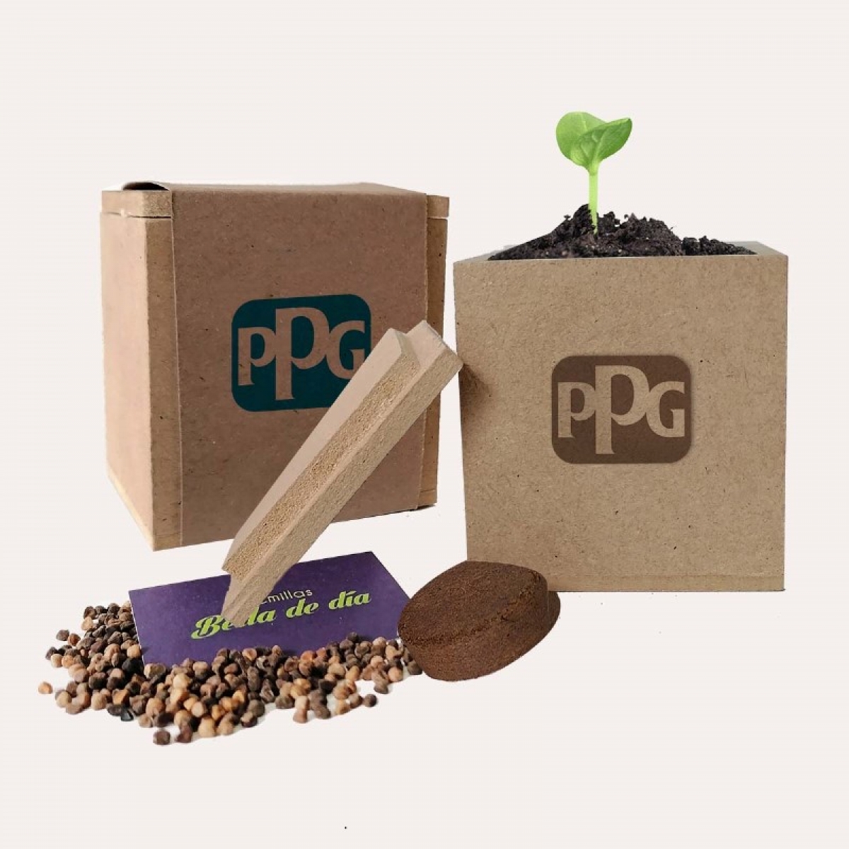 Box Pot