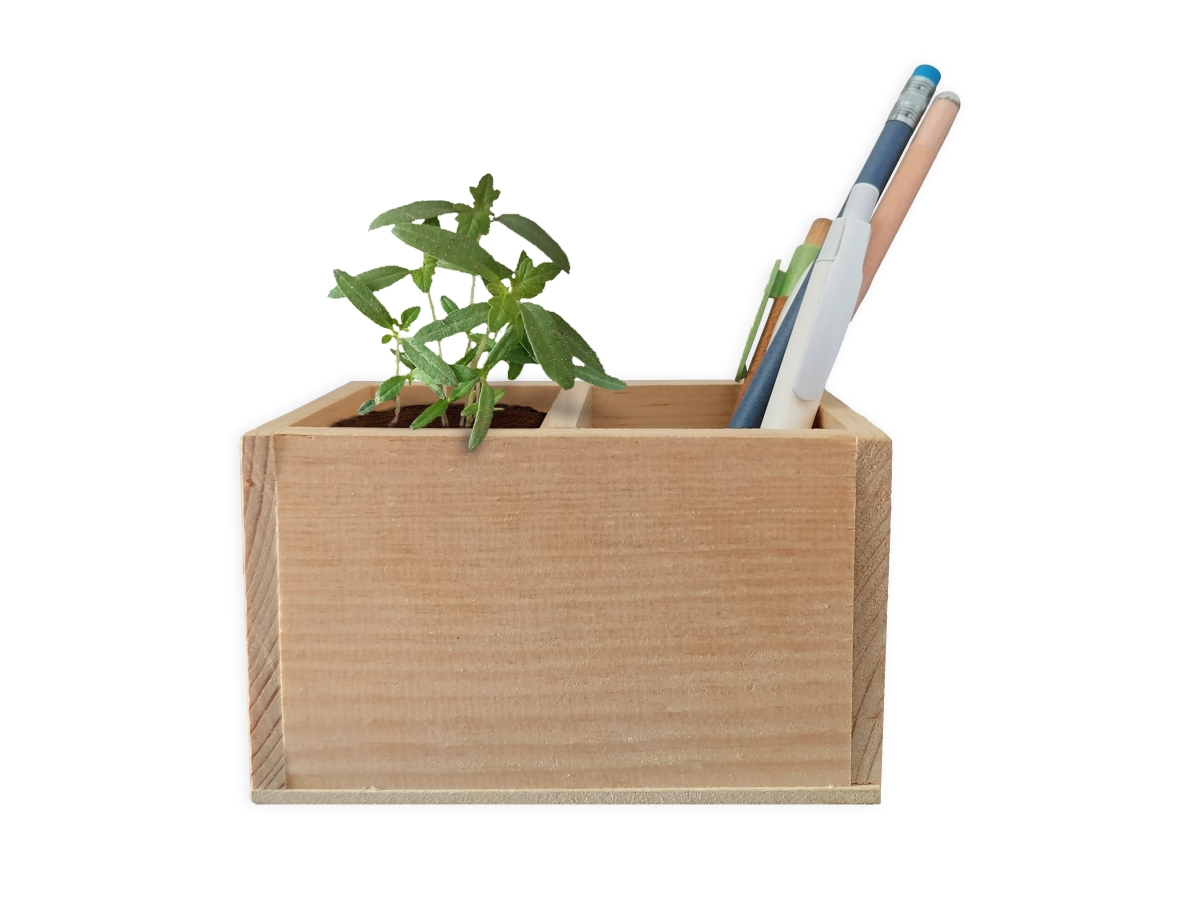 Lapicera Eco