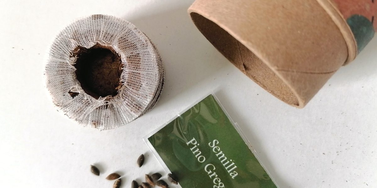 Grupo Green Market | Regalos ecológicos: la opción perfecta para esta temporada.