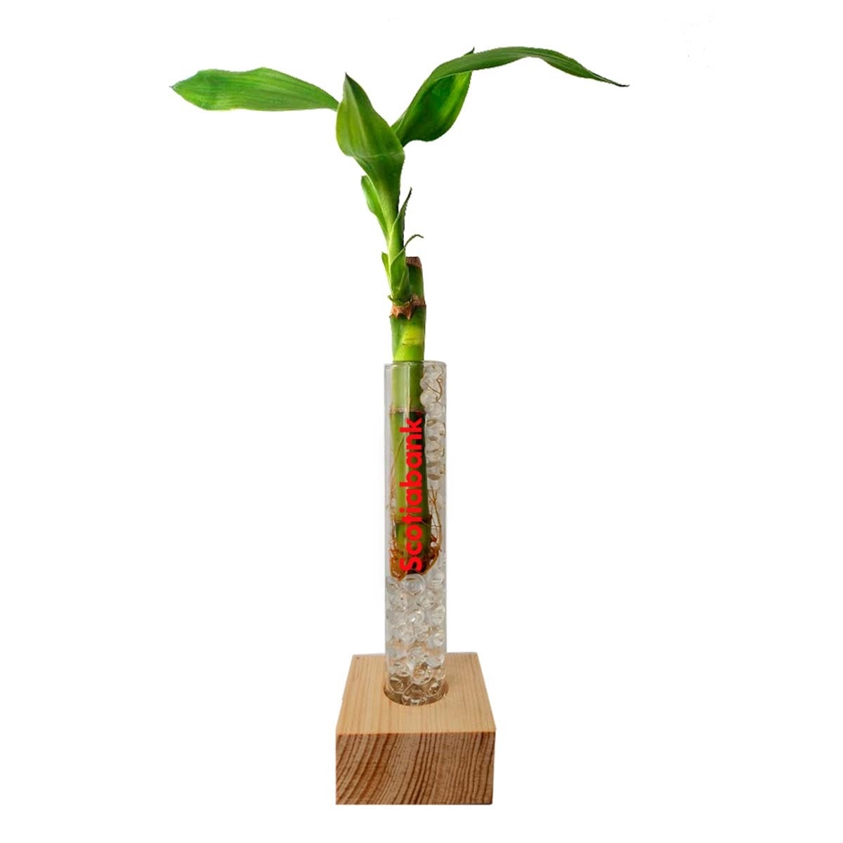 Bambu Deco Wood 3