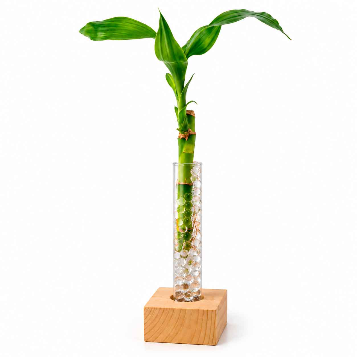 Bambu Deco Wood 3