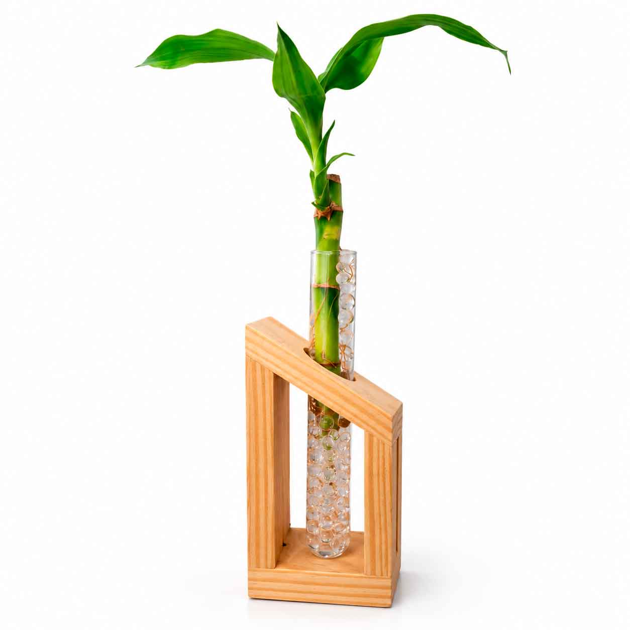 Bambu Deco Wood 2