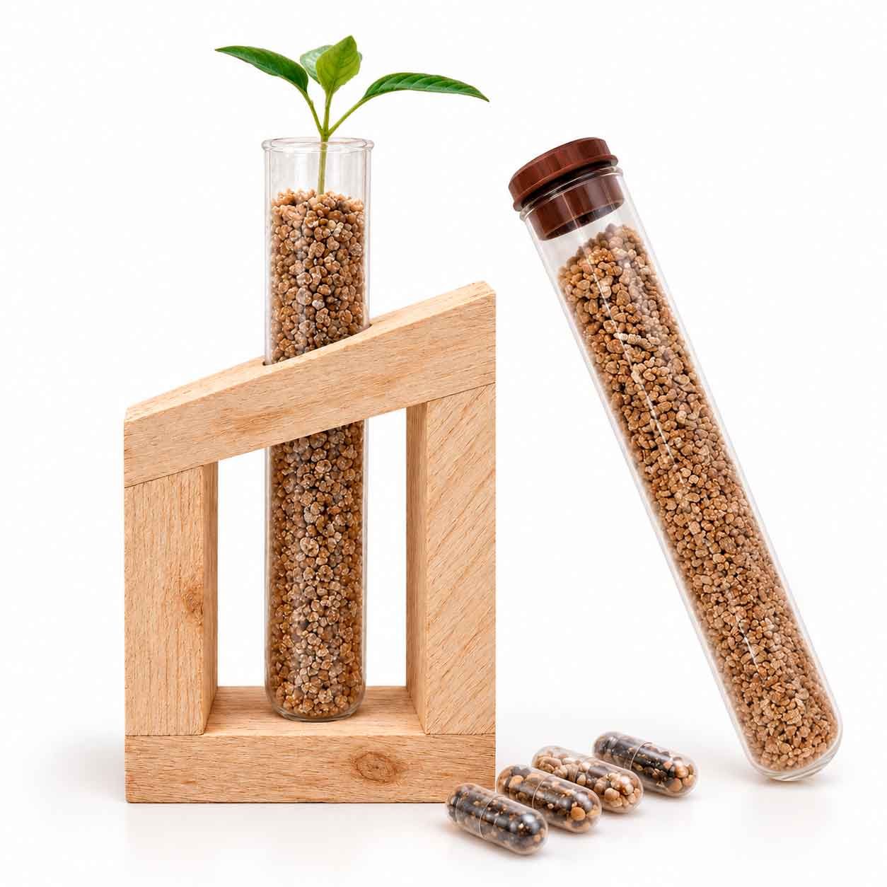 Labpot Wood 1