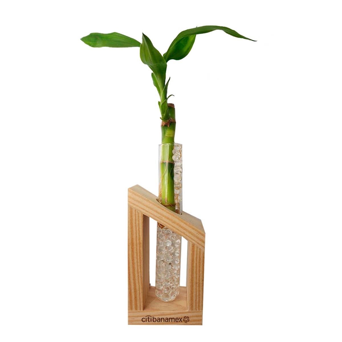 Bambu Deco Wood 2