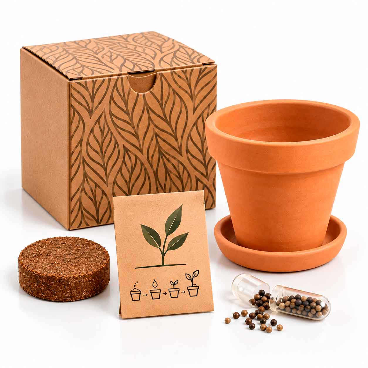 Kit Terracota Pill