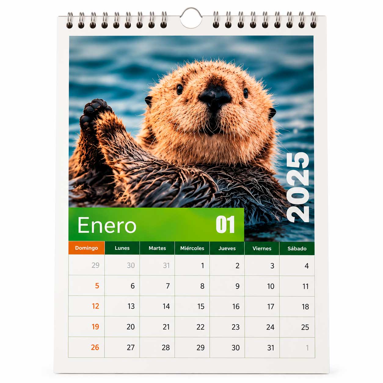 Calendario de Pared Carta