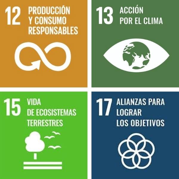 Grupo Green Market | Nuestro Compromiso con los Objetivos de Desarrollo Sostenible (ODS)