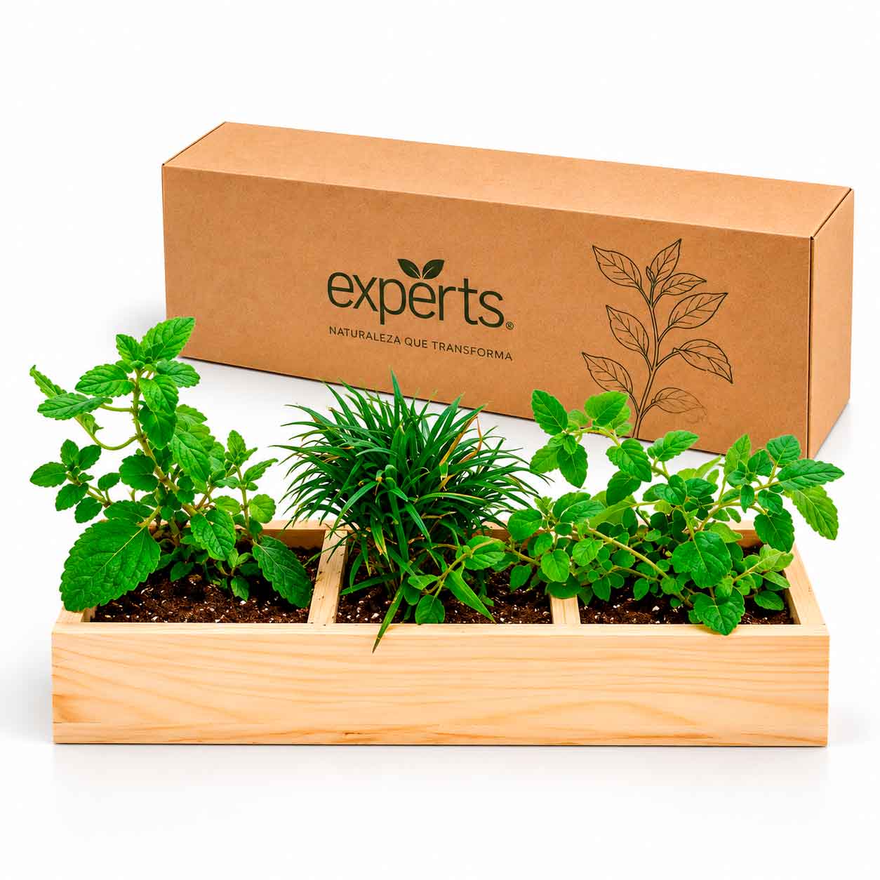 Kit Huerto Especies