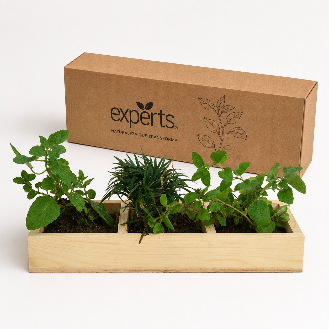 Kit Huerto Especies